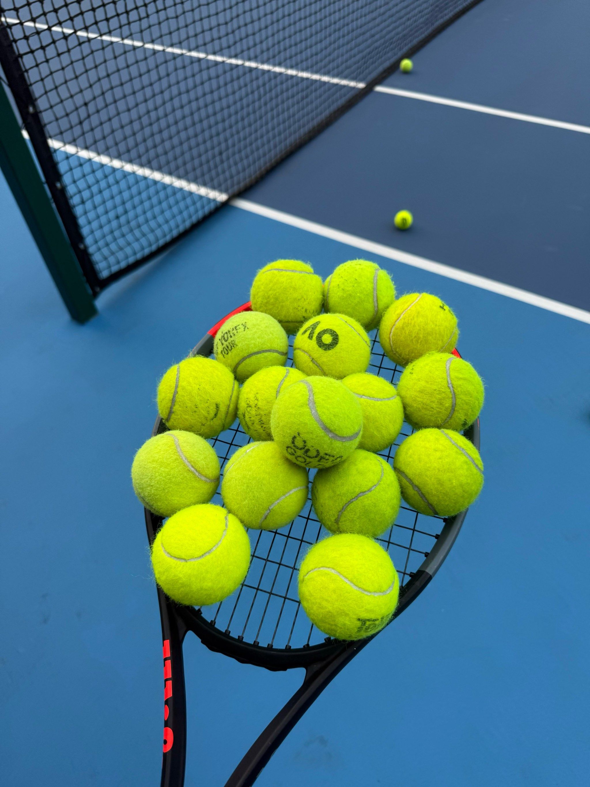 他们在未来 他们在未来