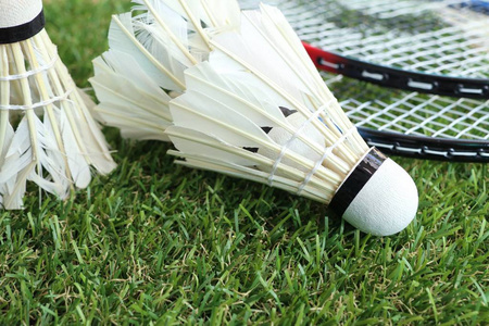 的特质为主 的特质为主